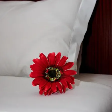 Hotel Jose Estevao Aveiro