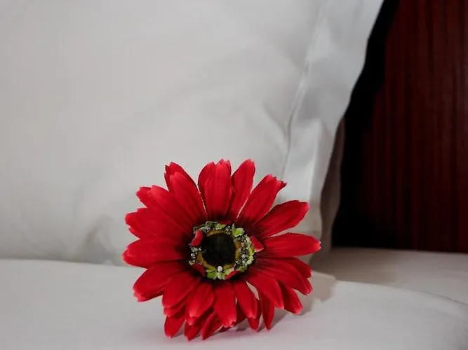 Hotel Galeria Aveiro